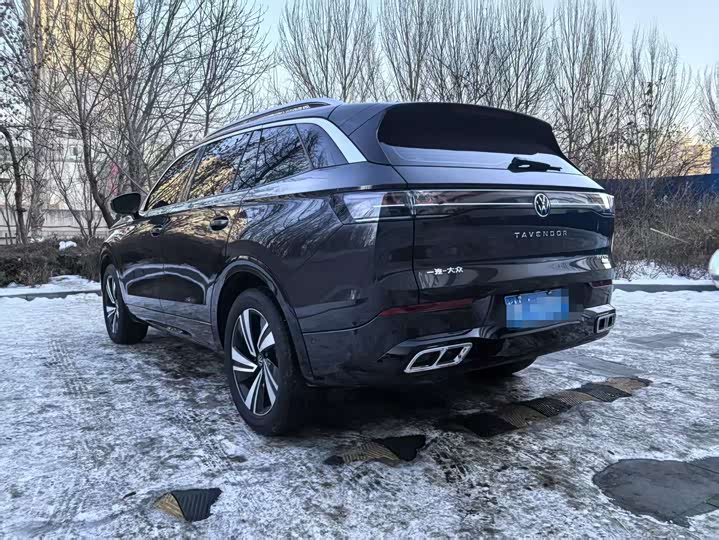 Фото 4 - Volkswagen Tavendor