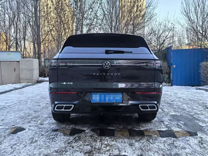 Фото 5 - Volkswagen Tavendor