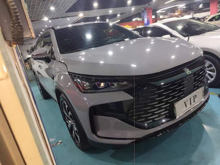 Фото 4 - BYD Tang Hybrid/EV