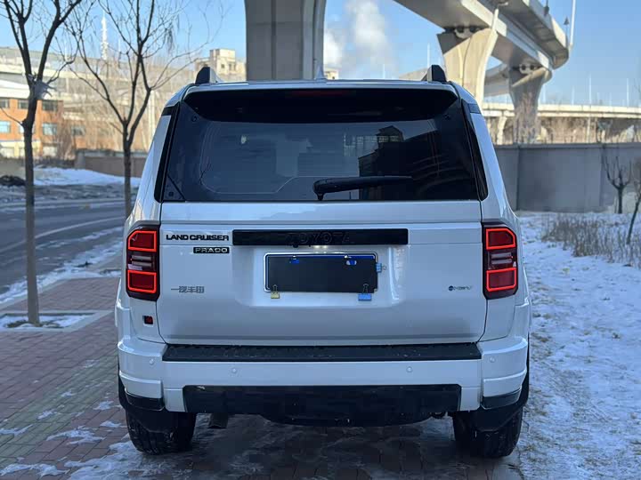 Фото 5 - Toyota Prado