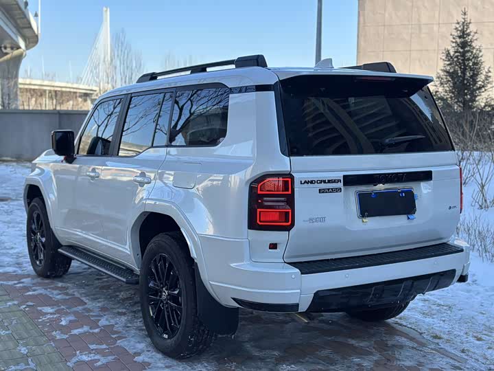 Фото 6 - Toyota Prado