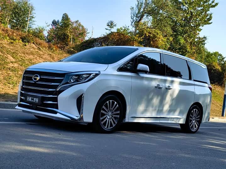 Фото 1 - GAC Trumpchi M8