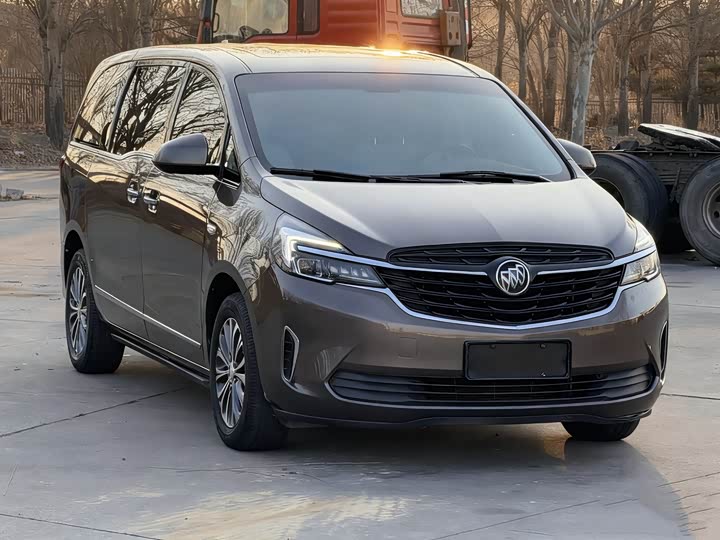 Фото 3 - Buick GL8 ES