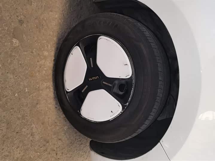 Фото 6 - Changan Qiyuan (Nevo) Lumin