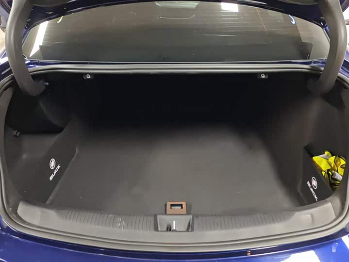 Фото 4 - Buick Regal