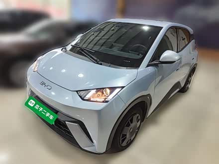 Фото 1 - BYD Seagull