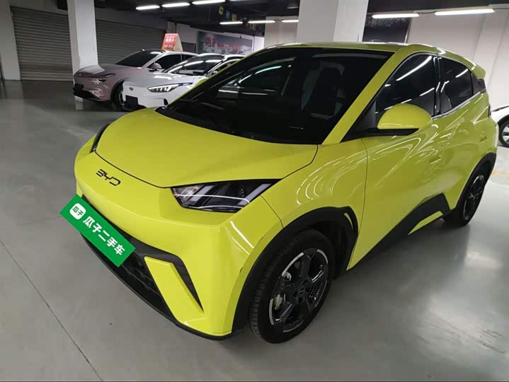 Фото 1 - BYD Seagull