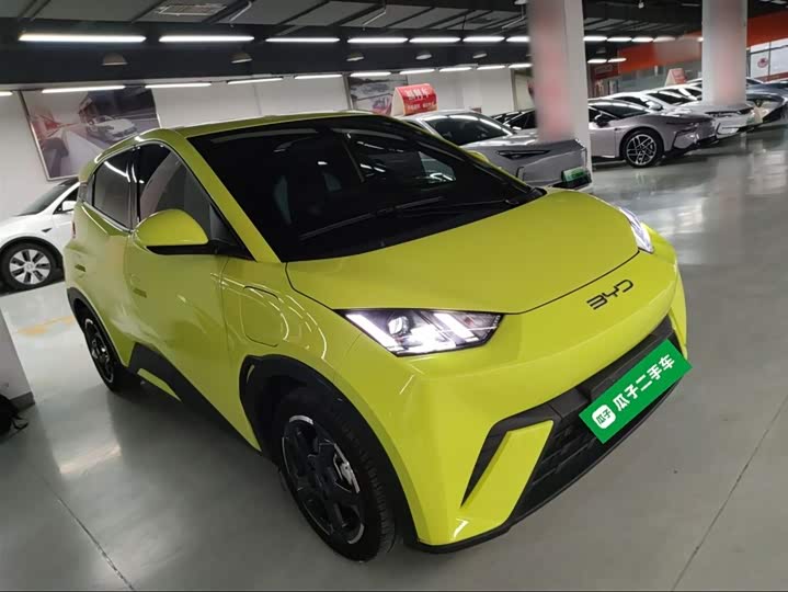 Фото 4 - BYD Seagull