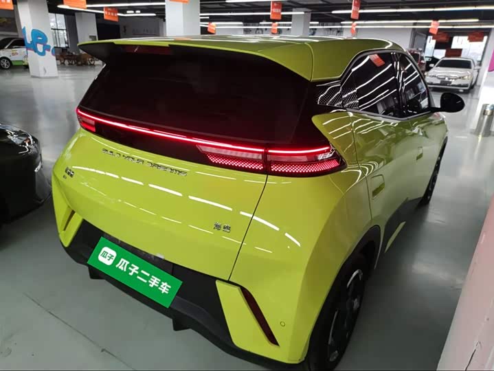 Фото 7 - BYD Seagull