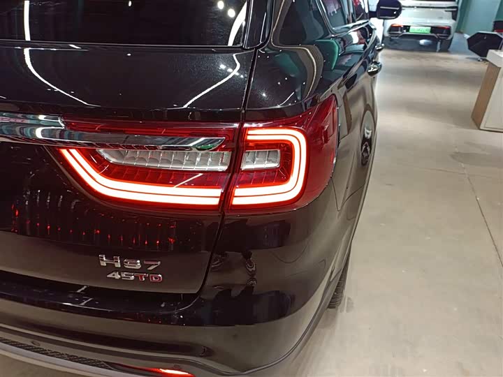 Фото 8 - Hongqi HS7