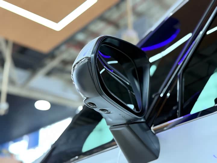 Фото 6 - Lexus LM