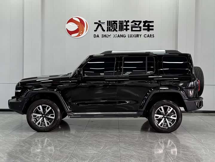 Фото 4 - Tank 300