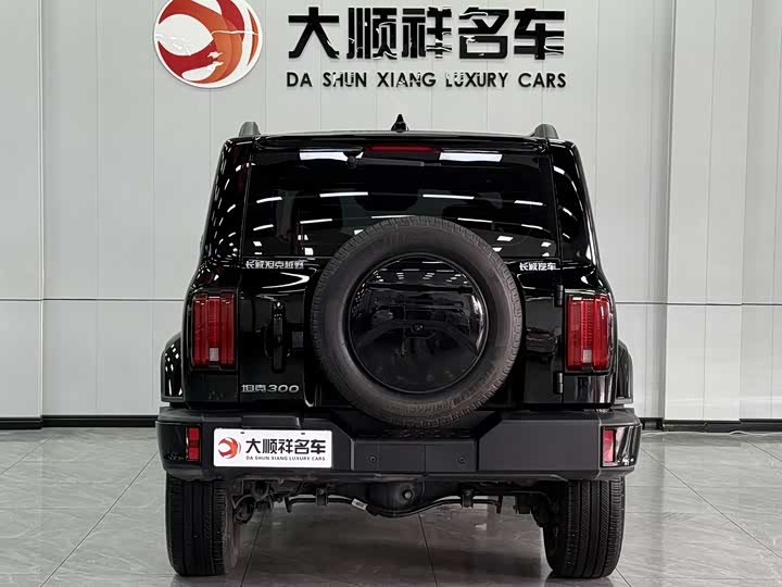 Фото 5 - Tank 300