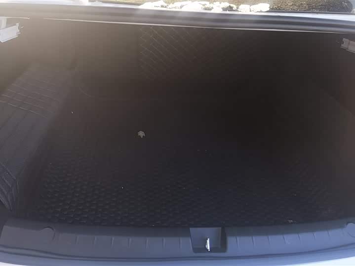 Фото 4 - BYD Qin Plus