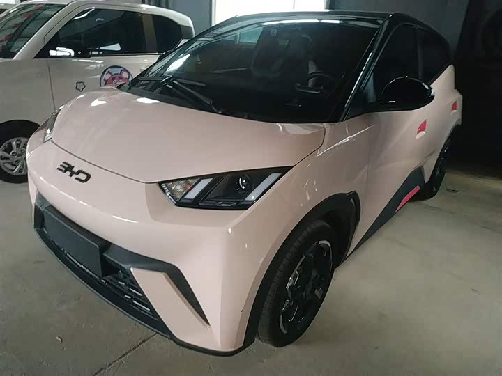 Фото 1 - BYD Seagull