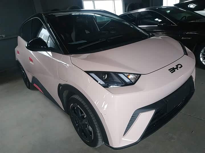 Фото 4 - BYD Seagull