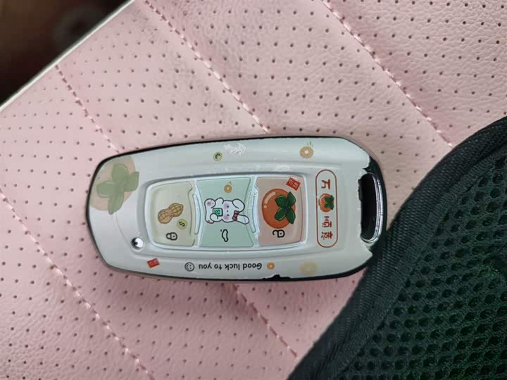 Фото 9 - Geely Galaxy Panda Mini