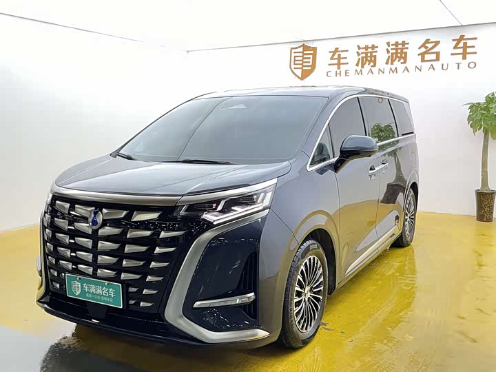 Фото 1 - Denza D9