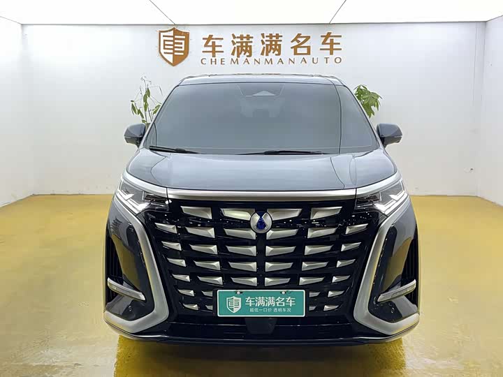 Фото 2 - Denza D9