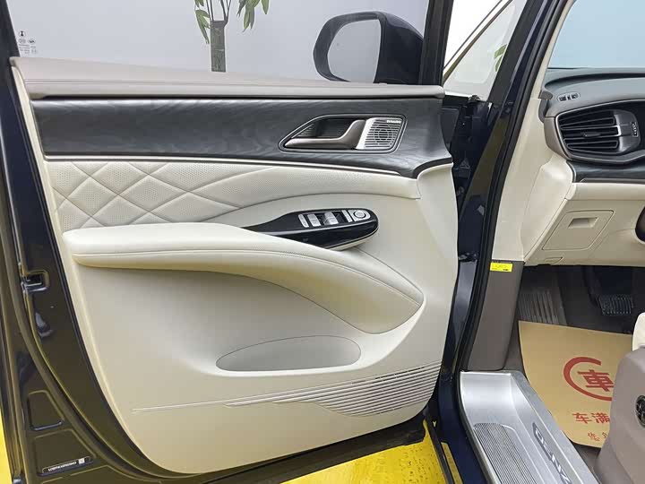 Фото 6 - Denza D9