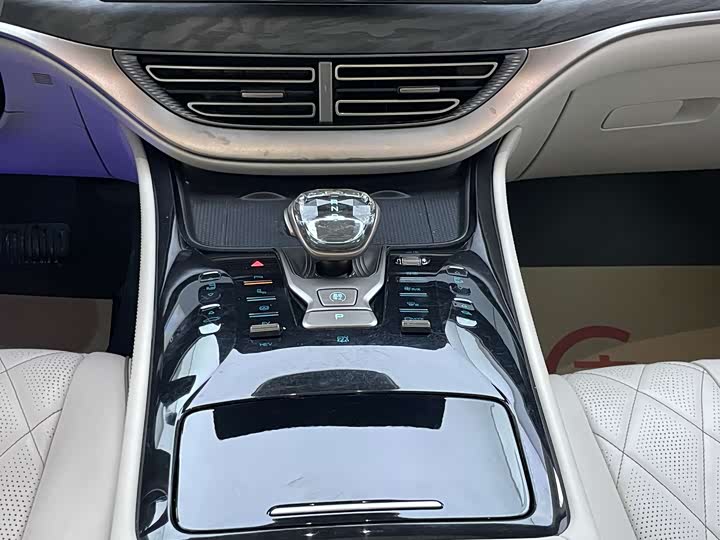 Фото 8 - Denza D9