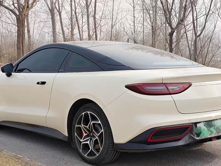 Фото 7 - Hozon GT