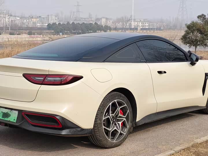 Фото 9 - Hozon GT