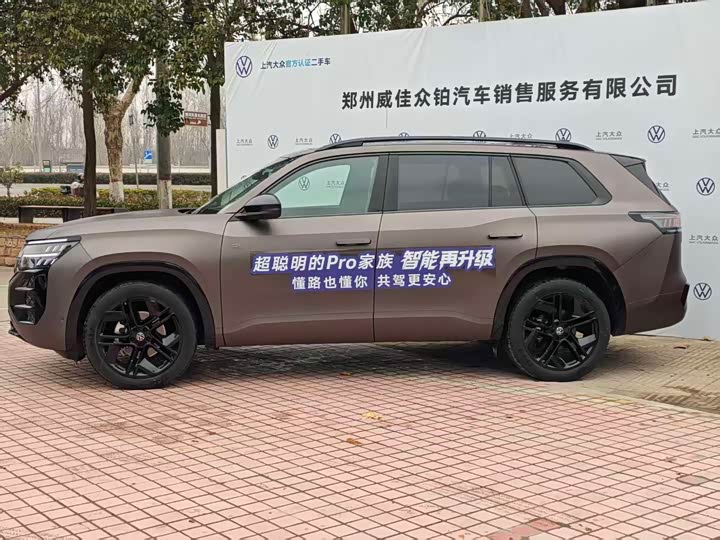 Фото 2 - Volkswagen Teramont Pro