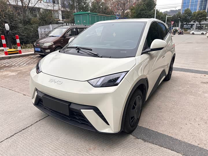 Фото 1 - BYD Seagull