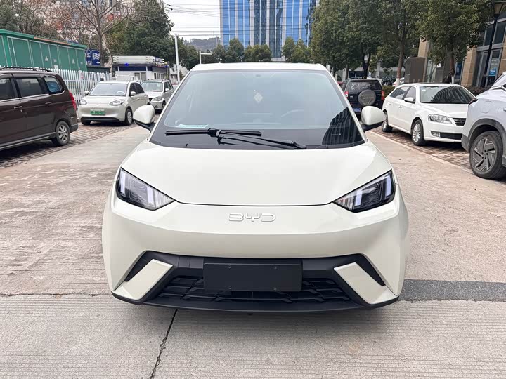 Фото 2 - BYD Seagull