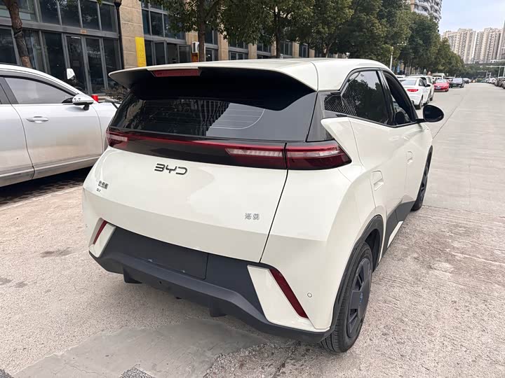 Фото 6 - BYD Seagull