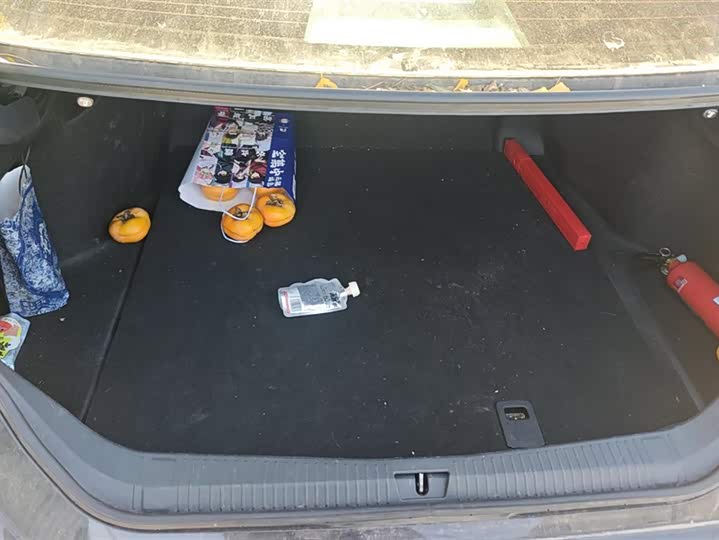 Фото 4 - Toyota Avalon