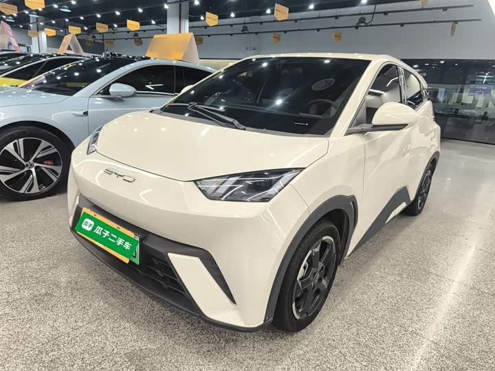 Фото 2 - BYD Seagull