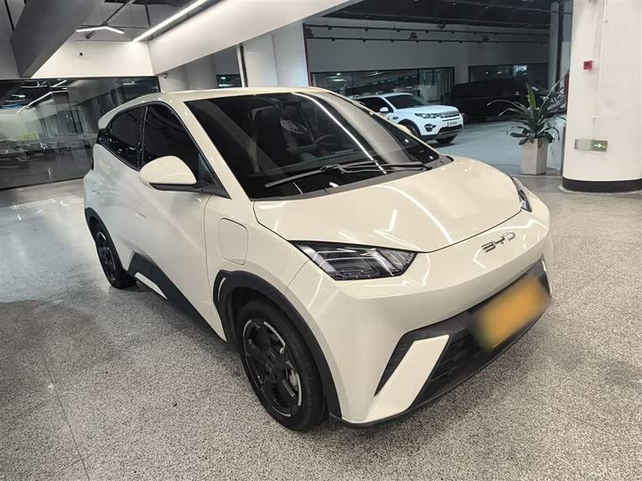 Фото 4 - BYD Seagull