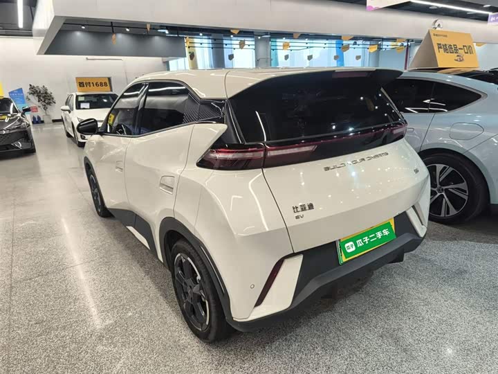 Фото 5 - BYD Seagull