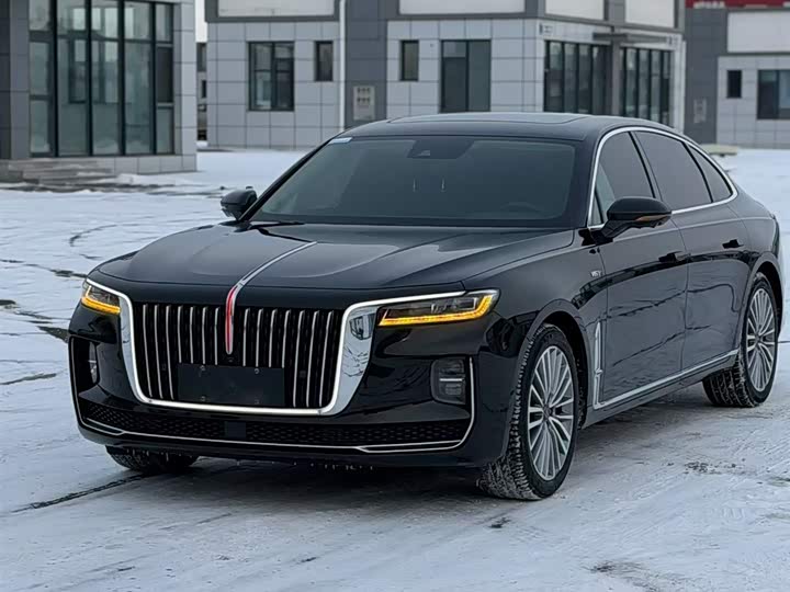 Фото 1 - Hongqi H9