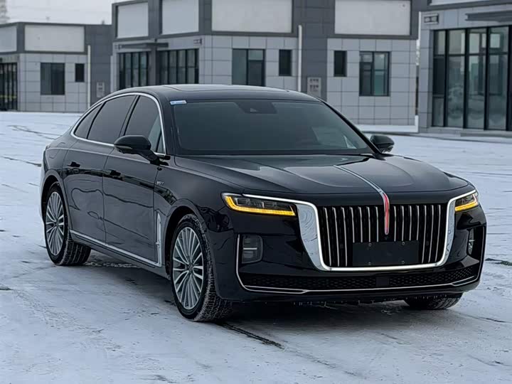 Фото 3 - Hongqi H9