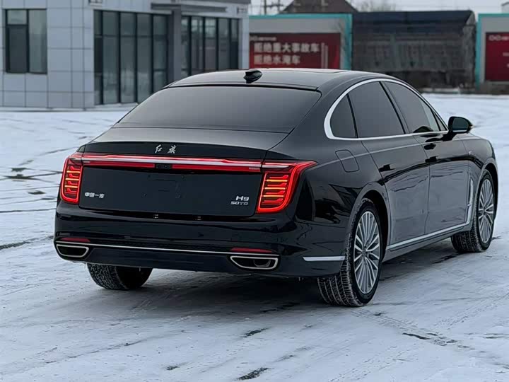 Фото 6 - Hongqi H9