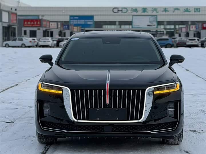 Фото 8 - Hongqi H9