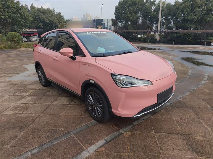 Фото 4 - Hozon V