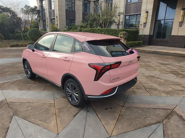 Фото 5 - Hozon V