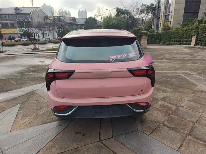 Фото 6 - Hozon V