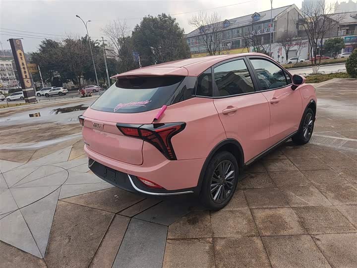 Фото 7 - Hozon V