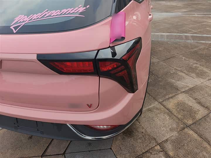 Фото 8 - Hozon V