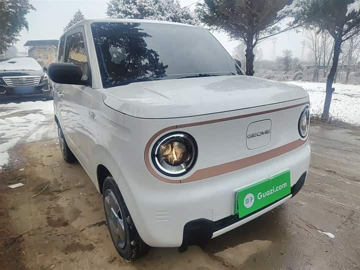 Фото 4 - Geely Galaxy Panda Mini