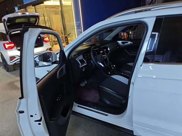 Фото 7 - Volkswagen Tacqua