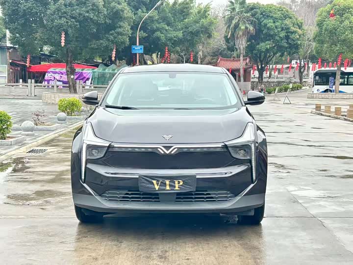 Фото 2 - Hozon U