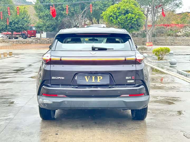 Фото 8 - Hozon U