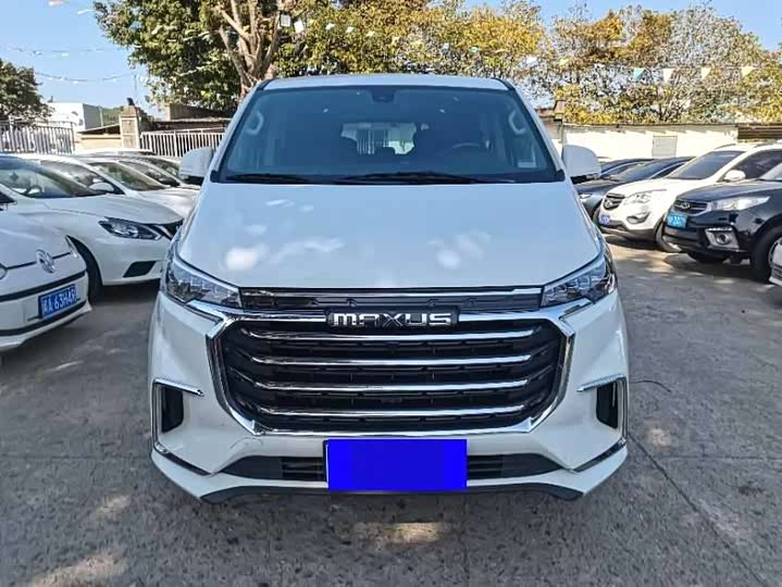 Фото 2 - Maxus G20