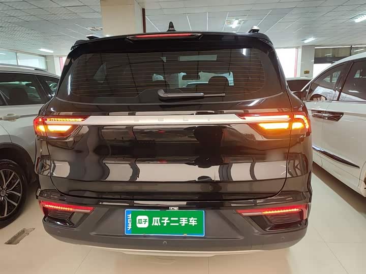 Фото 6 - Geely Okavango